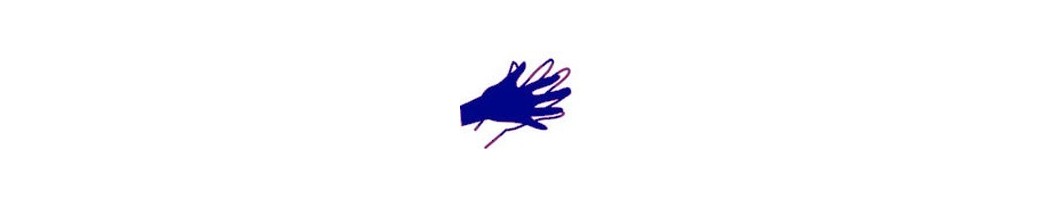 langue des signes française (LSF)