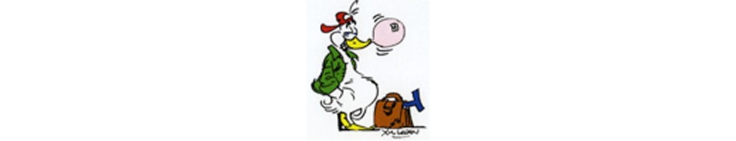 enseignements